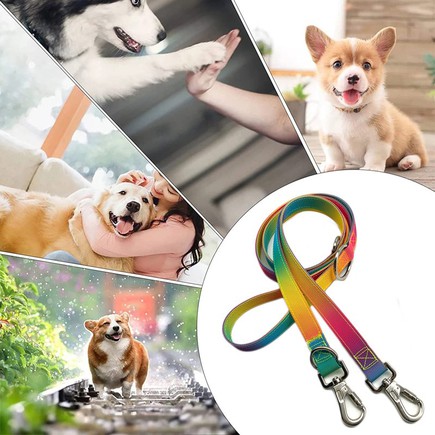 rainbow dog leash rainbow dog leash