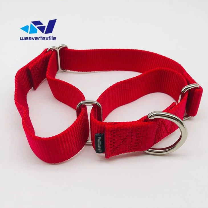 Red Martingale Dog Collar