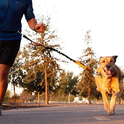 Guía de selección rápida de correas para equipos para mascotas y K9