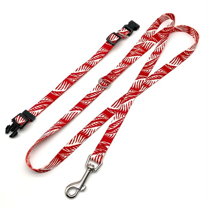 dog leash